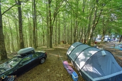 tenda1
